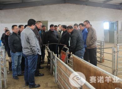 錫盟阿巴嘎旗政府參觀(guān)調研