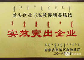 龍頭企業(yè)與農牧民利益聯(lián)結實(shí)效突出企業(yè)