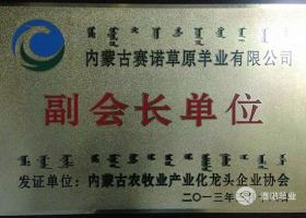 內蒙古農牧業(yè)產(chǎn)業(yè)化龍頭企業(yè)副會(huì )長(cháng)單位