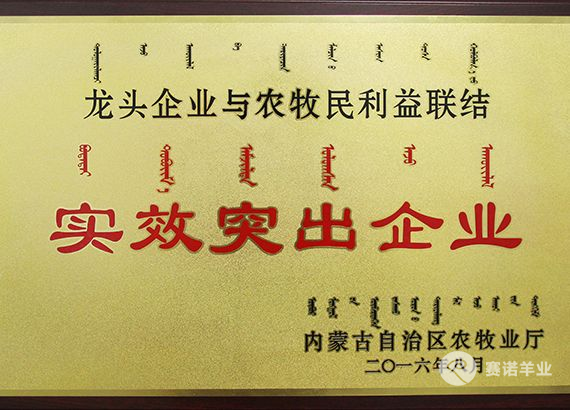 龍頭企業(yè)與農牧民利益聯(lián)結實(shí)效突出企業(yè)